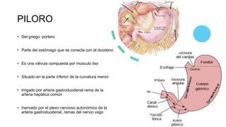 Estenosis Pilorica.pptx
