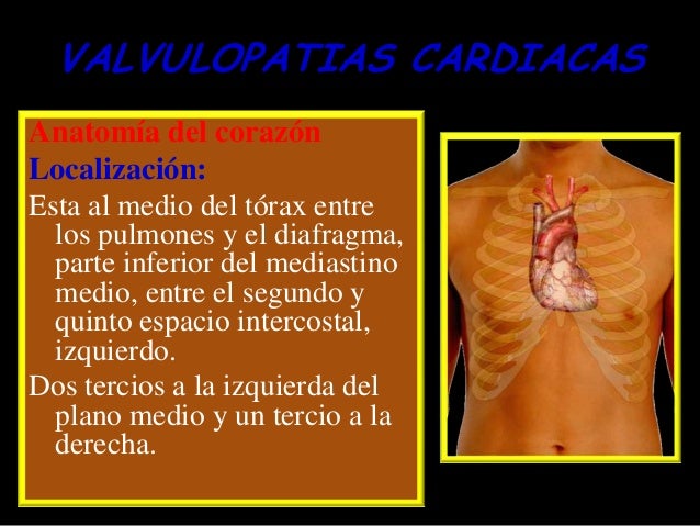 Las recomendaciones y la contraindicación a la osteocondrosis