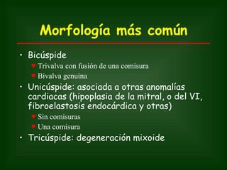 Morfología más común
• Bicúspide
  ♥ Trivalva con fusión de una comisura
  ♥ Bivalva genuina
• Unicúspide: asociada a otras anomalías
  cardiacas (hipoplasia de la mitral, o del VI,
  fibroelastosis endocárdica y otras)
  ♥ Sin comisuras
  ♥ Una comisura
• Tricúspide: degeneración mixoide
 