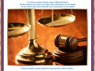 Estén prevenidos, porque ustedes no saben qué día vendrá su Señor.
Lo mismo sucederá cuando venga el Hijo del hombre.
De dos hombres que estén en el campo, uno será llevado y el otro dejado.
De dos mujeres que estén moliendo, una será llevada y la otra dejada.
 