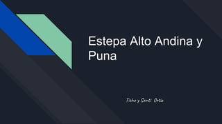 Estepa Alto Andina y
Puna
Ticho y Santi Ortiz
 