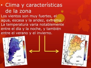 • Clima y características 
de la zona 
Los vientos son muy fuertes, el 
agua, escasa y la aridez, extrema. 
La temperatura varia notablemente 
entre el día y la noche, y también 
entre el verano y el invierno. 
 
