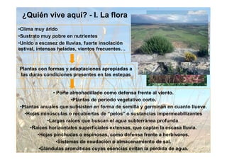 ¿Quién vive aquí? - I. La flora
•Clima muy árido
•Sustrato muy pobre en nutrientes
•Unido a escasez de lluvias, fuerte insolación
estival, intensas heladas, vientos frecuentes



Plantas con formas y adaptaciones apropiadas a
las duras condiciones presentes en las estepas


              • Porte almohadillado como defensa frente al viento.
                      •Plantas de periodo vegetativo corto.
•Plantas anuales que subsisten en forma de semilla y germinan en cuanto llueve.
  •Hojas minúsculas o recubiertas de “pelos” o sustancias impermeabilizantes
            •Largas raíces que buscan el agua subterránea profunda.
    •Raíces horizontales superficiales extensas, que captan la escasa lluvia.
       •Hojas pinchudas o espinosas, como defensa frente a herbívoros.
                •Sistemas de exudación o almacenamiento de sal.
        •Glándulas aromáticas cuyas esencias evitan la pérdida de agua.
 