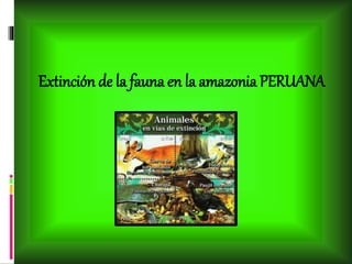 Extinción de la fauna en la amazonia PERUANA
 