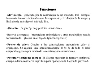 Movimiento:  generado por la contracción de un músculo. Por  ejemplo, los movimientos relacionados con la respiración, circulación de la sangre y linfa donde interviene el músculo liso. Almacén:  de glucógeno y proteínas musculares. Reserva de energía:  proporciona aminoácidos y otros metabolitos para la formación de  glucosa en el hígado (gluconeogénesis)  Fuente de calor:  Gracias a las contracciones proporciona calor al organismo. Se calcula  que aproximadamente el 85 % de todo el calor corporal se genera por medio de las contracciones musculares. Postura y sostén del cuerpo:  El sistema muscular da forma y sostiene al cuerpo, además conserva la postura para oponerse a la fuerza de gravedad.  Funciones 