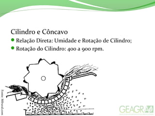 Cilindro e Côncavo
Relação Direta: Umidade e Rotação de Cilindro;
Rotação do Cilindro: 400 a 900 rpm.
Fonte:Mfrural.com
 