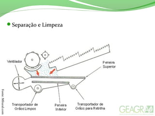 Separação e Limpeza
Fonte:Mfrural.com
 
