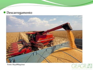 Descarregamento
Fonte: RoyalMáquinas
 
