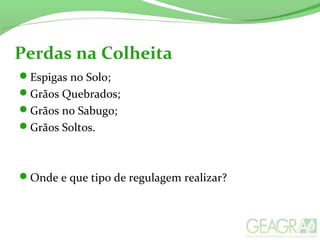 Perdas na Colheita
Espigas no Solo;
Grãos Quebrados;
Grãos no Sabugo;
Grãos Soltos.
Onde e que tipo de regulagem realizar?
 