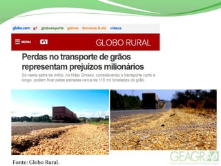 Fonte: Globo Rural.
 