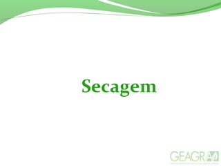 Secagem
 