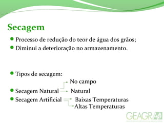 Secagem
Processo de redução do teor de água dos grãos;
Diminui a deterioração no armazenamento.
Tipos de secagem:
Secagem Natural Natural
Secagem Artificial Baixas Temperaturas
No campo
Altas Temperaturas
 