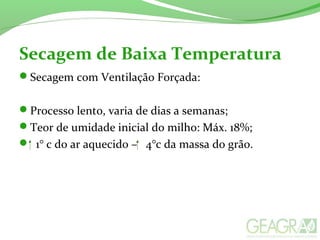 Secagem de Baixa Temperatura
Secagem com Ventilação Forçada:
Processo lento, varia de dias a semanas;
Teor de umidade inicial do milho: Máx. 18%;
 1° c do ar aquecido – 4°c da massa do grão.
 