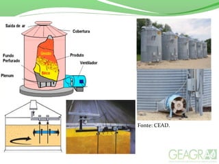 Fonte: CEAD.
 