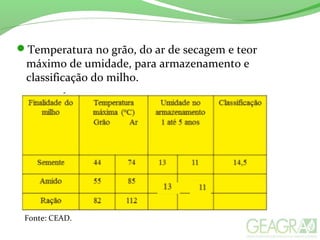 Temperatura no grão, do ar de secagem e teor
máximo de umidade, para armazenamento e
classificação do milho.
Fonte: CEAD.
 