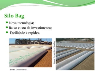 Silo Bag
Fonte: ElectroPlastic
Nova tecnologia;
Baixo custo de investimento;
 Facilidade e rapidez.
Fonte:PolyethileneSilosBag
 