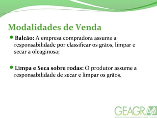 Modalidades de Venda
Balcão: A empresa compradora assume a
responsabilidade por classificar os grãos, limpar e
secar a oleaginosa;
Limpa e Seca sobre rodas: O produtor assume a
responsabilidade de secar e limpar os grãos.
 