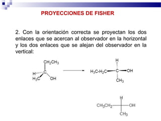 PROYECCIONES DE FISHER
2. Con la orientación correcta se proyectan los dos
enlaces que se acercan al observador en la horizontal
y los dos enlaces que se alejan del observador en la
vertical:
 