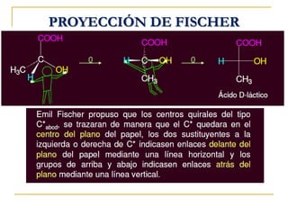 PROYECCIÓN DE FISCHER
 