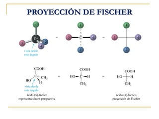 PROYECCIÓN DE FISCHER
 