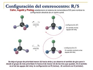 Configuración del estereocentro: R/S
Cahn, Ingold y Prelog establecieron el sistema de nomenclatura R/S para nombrar la
configuración absoluta de un centro quiral.
En sentido de las
agujas del reloj
En sentido contrario a las
agujas del reloj
Se deja el grupo de prioridad menor (4) hacia atrás y se observa el sentido de giro para ir
desde el grupo de más prioridad (1) hacia el de menor (3) de los tres que quedan. Si el sentido
es el de las agujas del reloj, la configuración es R (rectus). Al contrario es S (sinister).
 