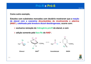 Prof. Nunes
PróPró--RR ee PróPró--SS
Como outro exemplo,
Estudos com substratos marcados com deutério mostraram que a reação
de etanol com a coenzima dinucleotídeodinucleotídeo dada nicotinamidanicotinamida ee adeninaadenina
(NADNAD++), catalisada pela levedura álcool desidrogenase, ocorre com:
exclusiva remoção do hidrogêniohidrogênio própró--RR do etanol, e com
adição somente pela faceface ReRe do NADNAD++.
PGQUIM - UFC
246
adição somente pela faceface ReRe do NADNAD++.
 
