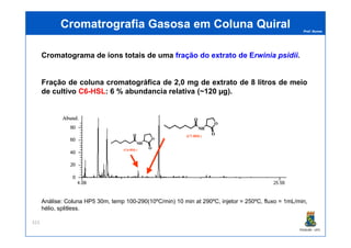Prof. Nunes
Cromatograma de íons totais de uma fração do extrato de Erwinia psidii.
Fração de coluna cromatográfica de 2,0 mg de extrato de 8 litros de meio
de cultivo C6-HSL: 6 % abundancia relativa (~120 µg).
CromatrografiaCromatrografia Gasosa em ColunaGasosa em Coluna QuiralQuiral
PGQUIM - UFC
Análise: Coluna HP5 30m, temp 100-290(10ºC/min) 10 min at 290ºC, injetor = 250ºC, fluxo = 1mL/min,
hélio, splitless.
323
 