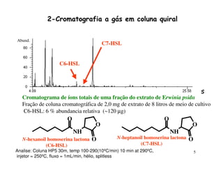 2-Cromatografia a gás em coluna quiral


Abund.
                                         C7-HSL


                    C6-HSL



                                                                                      s
                                                                                  Tempo
   Cromatograma de íons totais de uma fração do extrato de Erwinia psidii
   Fração de coluna cromatográfica de 2,0 mg de extrato de 8 litros de meio de cultivo
   C6-HSL: 6 % abundancia relativa (~120 µg)
                        O                                          O
                                     O                                        O
                            NH                                         NH
   N-hexanoil homoserina lactona O             N-heptanoil homoserina lactona O
             (C6-HSL)                                    (C7-HSL)
Analise: Coluna HP5 30m, temp 100-290(10ºC/min) 10 min at 290ºC,                  5
injetor = 250ºC, fluxo = 1mL/min, hélio, splitless
 
