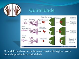 O modelo de chave-fechadura nas reações biológicas ilustra 
bem a importância da quiralidade 
 