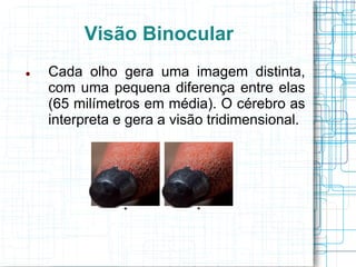 Visão Binocular
   Cada olho gera uma imagem distinta,
    com uma pequena diferença entre elas
    (65 milímetros em média). O cérebro as
    interpreta e gera a visão tridimensional.
 