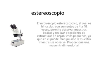 estereoscopio
  El microscopio estereoscópico, el cual es
     binocular, con aumentos de 4 a 40
     veces, permite observar muestras
      opacas y realizar disecciones de
  estructuras en organismos pequeños, ya
  que en él puede manipularse la muestra
   mientras se observa. Proporciona una
           imagen tridimensional.
 