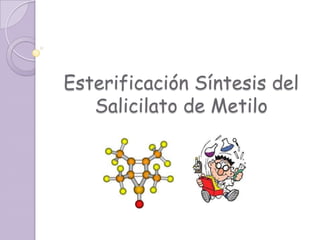 Esterificación Síntesis del Salicilato de Metilo 