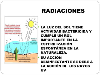 RADIACIONES LA LUZ DEL SOL TIENE ACTIVIDAD BACTERICIDA Y CUMPLE UN ROL IMPORTANTE EN LA ESTERILIZACIÓN ESPONTÁNEA EN LA NATURALEZA. SU ACCIÓN DESINFECTANTE SE DEBE A LA ACCIÓN DE LOS RAYOS UV 