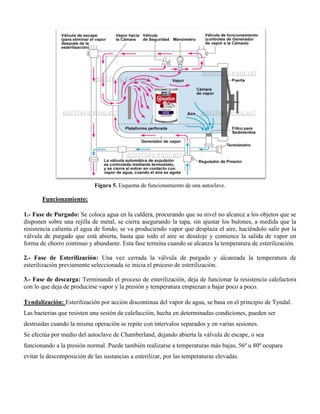 Figura 5. Esquema de funcionamiento de una autoclave.
Funcionamiento:
1.- Fase de Purgado: Se coloca agua en la caldera, procurando que su nivel no alcance a los objetos que se
disponen sobre una rejilla de metal, se cierra asegurando la tapa, sin ajustar los bulones, a medida que la
resistencia calienta el agua de fondo, se va produciendo vapor que desplaza el aire, haciéndolo salir por la
válvula de purgado que está abierta, hasta que todo el aire se desaloje y comience la salida de vapor en
forma de chorro continuo y abundante. Esta fase termina cuando se alcanza la temperatura de esterilización.
2.- Fase de Esterilización: Una vez cerrada la válvula de purgado y alcanzada la temperatura de
esterilización previamente seleccionada se inicia el proceso de esterilización.
3.- Fase de descarga: Terminando el proceso de esterilización, deja de funcionar la resistencia calefactora
con lo que deja de producirse vapor y la presión y temperatura empiezan a bajar poco a poco.
Tyndalización: Esterilización por acción discontinua del vapor de agua, se basa en el principio de Tyndal.
Las bacterias que resisten una sesión de calefacción, hecha en determinadas condiciones, pueden ser
destruidas cuando la misma operación se repite con intervalos separados y en varias sesiones.
Se efectúa por medio del autoclave de Chamberland, dejando abierta la válvula de escape, o sea
funcionando a la presión normal. Puede también realizarse a temperaturas más bajas, 56º u 80º ocupara
evitar la descomposición de las sustancias a esterilizar, por las temperaturas elevadas.
 