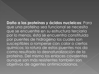 Daño a las proteínas y ácidos nucleicos: Para
que una proteína sea funcional se necesita
que se encuentre en su estructura terciaria
por lo menos, ésta se encuentra constituida
por puentes de hidrogeno los cuales son
susceptibles a romperse con calor o ciertos
químicos; la rotura de estos puentes nos da
como resultado la desnaturalización de la
proteína. Del mismo los enlaces covalentes
aunque son más resistentes también son
objetivos de agentes antimicrobianos.
 