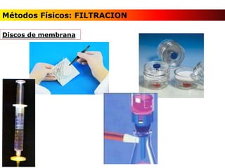 Discos de membrana
Métodos Físicos: FILTRACION
 
