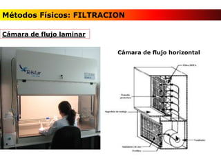Cámara de flujo laminar
Cámara de flujo horizontal
Métodos Físicos: FILTRACION
 