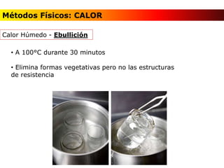 Calor Húmedo - Ebullición
• A 100°C durante 30 minutos
• Elimina formas vegetativas pero no las estructuras
de resistencia
Métodos Físicos: CALOR
 