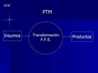 SFIP PTM Transformación F.F.E. Insumos Productos 