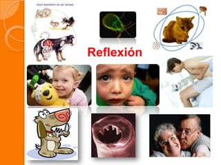 Reflexión
 