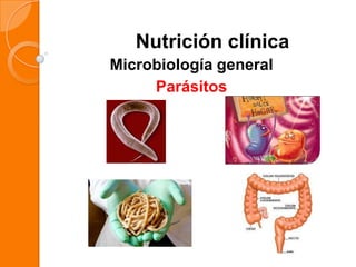 Nutrición clínica
Microbiología general
     Parásitos
 