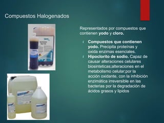 Compuestos Halogenados
Representados por compuestos que
contienen yodo y cloro.
 Compuestos que contienen
yodo. Precipita proteínas y
oxida enzimas esenciales.
 Hipoclorito de sodio. Capaz de
causar alteraciones celulares
biosinteticas;alteraciones en el
metabolismo celular;por la
acción oxidante, con la inhibición
enzimática irreversible en las
bacterias por la degradación de
ácidos grasos y lipidos
 