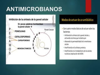 ANTIMICROBIANOS
 