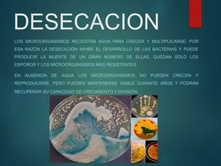 DESECACION
LOS MICROORGANISMOS NECESITAN AGUA PARA CRECER Y MULTIPLICARSE; POR
ESA RAZÓN LA DESECACIÓN INHIBE EL DESARROLLO DE LAS BACTERIAS Y PUEDE
PRODUCIR LA MUERTE DE UN GRAN NÚMERO DE ELLAS, QUEDAN SOLO LOS
ESPOROS Y LOS MICROORGANISMOS MÁS RESISTENTES.
EN AUSENCIA DE AGUA LOS MICROORGANISMOS NO PUEDEN CRECEN Y
REPRODUCIRSE, PERO PUEDEN MANTENERSE VIABLE DURANTE AÑOS Y PODRÁN
RECUPERAR SU CAPACIDAD DE CRECIMIENTO Y DIVISIÓN.
 