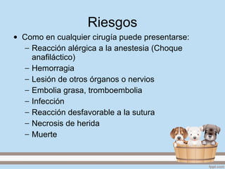 Riesgos
• Como en cualquier cirugía puede presentarse:
− Reacción alérgica a la anestesia (Choque
anafiláctico)
− Hemorragia
− Lesión de otros órganos o nervios
− Embolia grasa, tromboembolia
− Infección
− Reacción desfavorable a la sutura
− Necrosis de herida
− Muerte
 