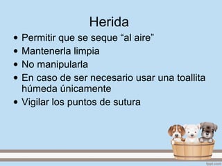 Herida
• Permitir que se seque “al aire”
• Mantenerla limpia
• No manipularla
• En caso de ser necesario usar una toallita
húmeda únicamente
• Vigilar los puntos de sutura
 