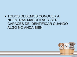 • TODOS DEBEMOS CONOCER A
NUESTRAS MASCOTAS Y SER
CAPACES DE IDENTIFICAR CUANDO
ALGO NO ANDA BIEN
 