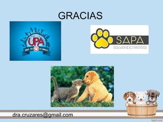 GRACIAS
dra.cruzares@gmail.com
 