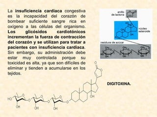 La insuficiencia cardiaca congestiva
es la incapacidad del corazón de
bombear suficiente sangre rica en
oxígeno a las células del organismo.
Los      glicósidos       cardiotónicos
incrementan la fuerza de contracción
del corazón y se utilizan para tratar a
pacientes con insuficiencia cardiaca.
Sin embargo, su administración debe
estar muy controlada porque su
toxicidad es alta, ya que son difíciles de
eliminar y tienden a acumularse en los
tejidos.

                                             DIGITOXINA.
 