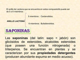El anillo de Lactona que se encuentra en estos compuesto0s puede ser
de 5 o 6 miembros :

                       5 miembros : Cardenolidos.

 ANILLO LACTONA
                       6 miembros: Bufadienolidos.


SAPONINAS
Las saponinas (del latín: sapo = jabón) son
glicósidos de esteroides, alcaloides esteroides
(que poseen una función nitrogenada) o
triterpenos. Se encuentran en plantas y se
caracterizan por sus propiedades detergentes
(producen abundante espuma en medio acuoso).
 